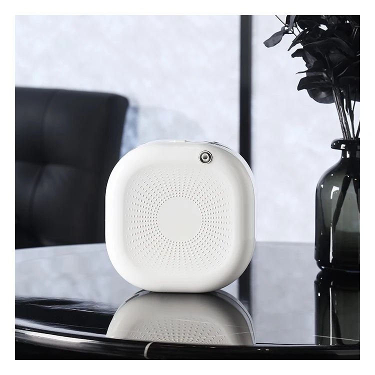 Luxury Hotel Diffusers